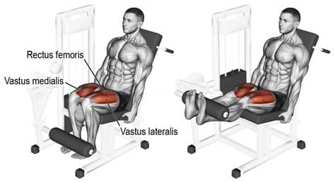 Leg Extension