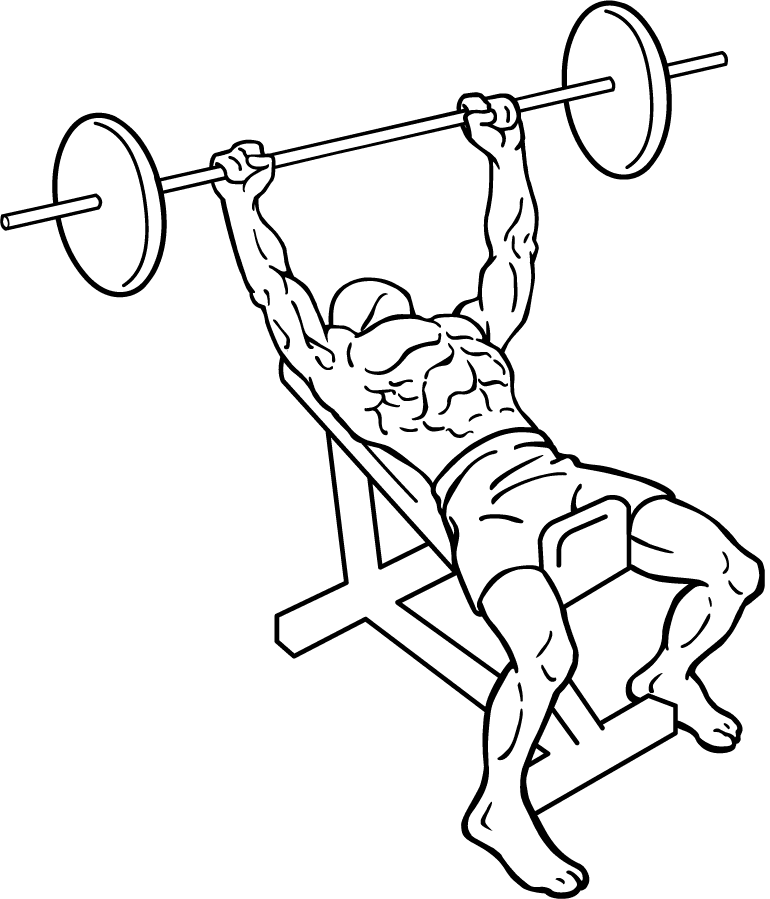 Incline Bench Press - Barbell